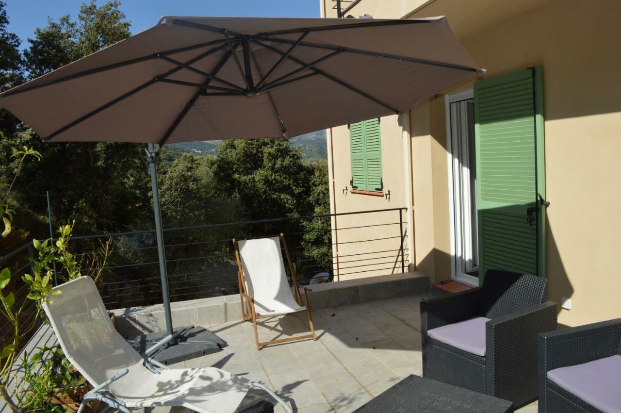 La Villa Volpaso Belgodère Esterno foto