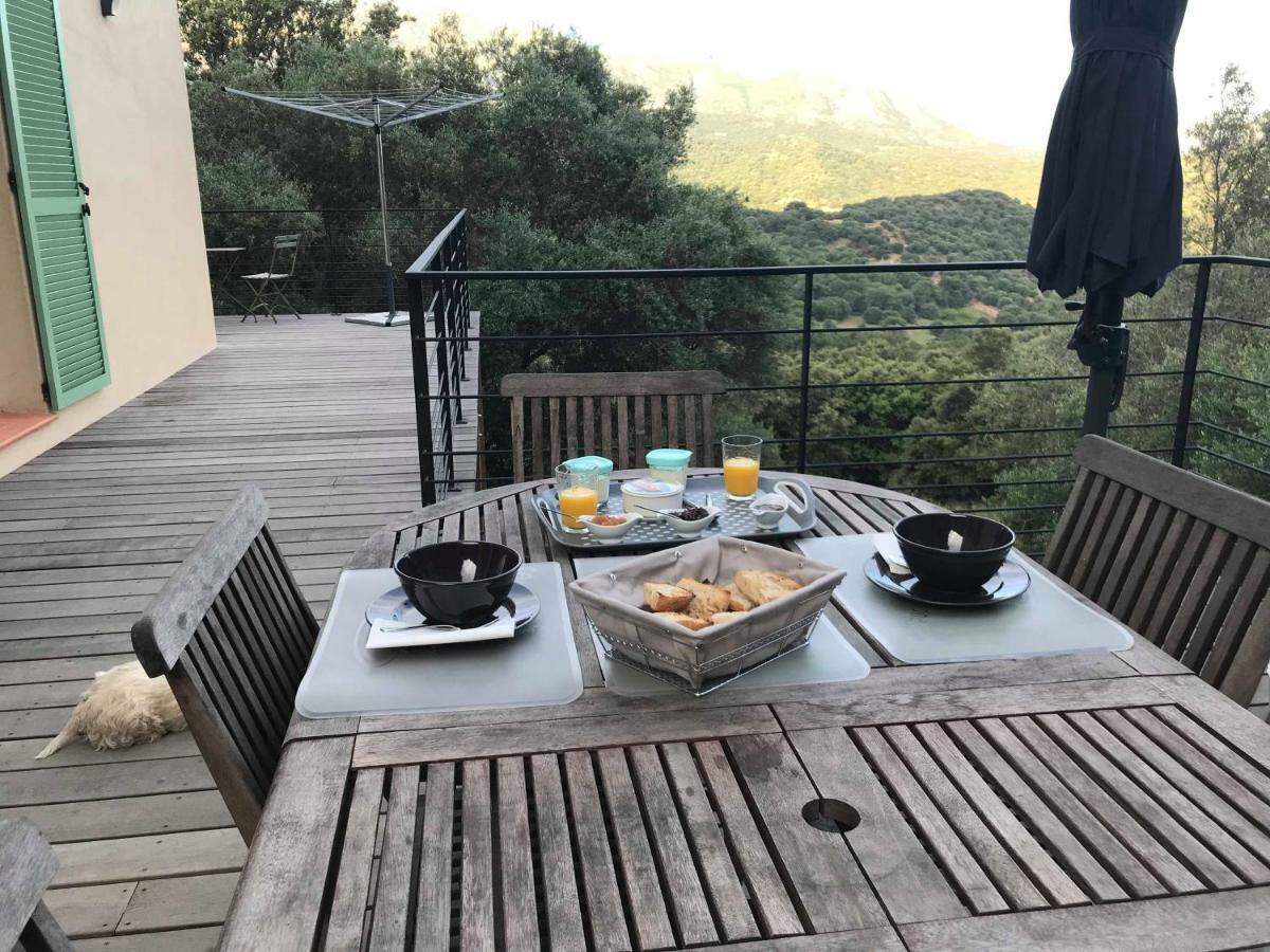 La Villa Volpaso Belgodère Esterno foto